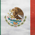 Mexico Flag Distressed PS4 Pro/Slim Controller Skin
